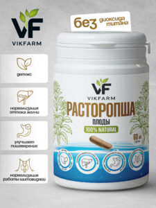 Расторопша_1.jpg