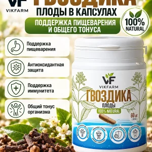 Гвоздика, плоды в капсулах, 60 капсул — изображение 1 из 5