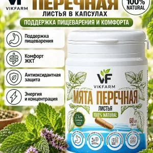 Мята перечная VikFarm, 60 капсул — изображение 1 из 5
